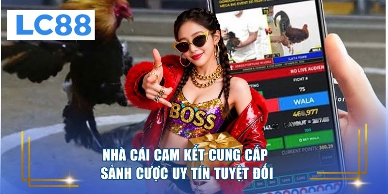 Nhà cái cam kết cung cấp sảnh cược uy tín tuyệt đối 