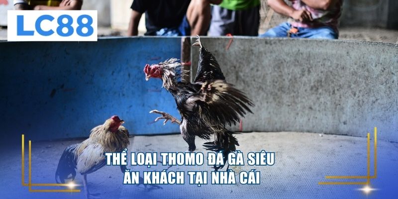 Thể loại Thomo đá gà siêu ăn khách tại nhà cái